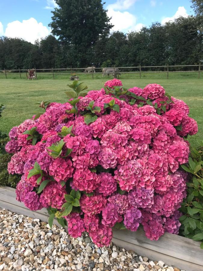 La Grange Aux Hortensias Thiergeville Kültér fotó