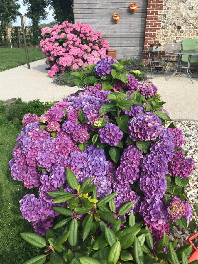 La Grange Aux Hortensias Thiergeville Kültér fotó